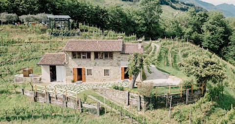 Il Conte Vassallo Farmhouse