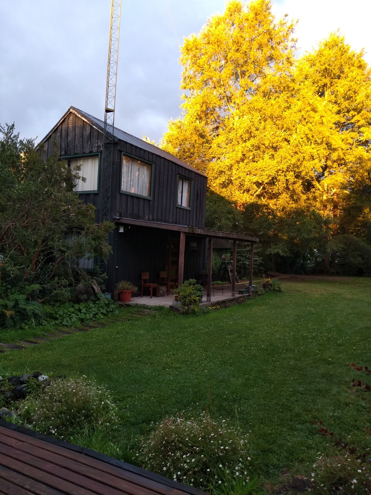 A two-story black wooden house is situated amidst greenery, featuring large windows that allow natural light to fill the interior. The surrounding garden showcases vibrant foliage and flowers, while a covered porch provides a space to relax outdoors.