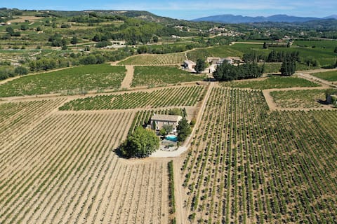 Mas provençal dans les vignes
