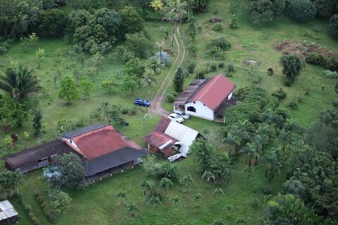 House in the heart of the Amazon rainforest