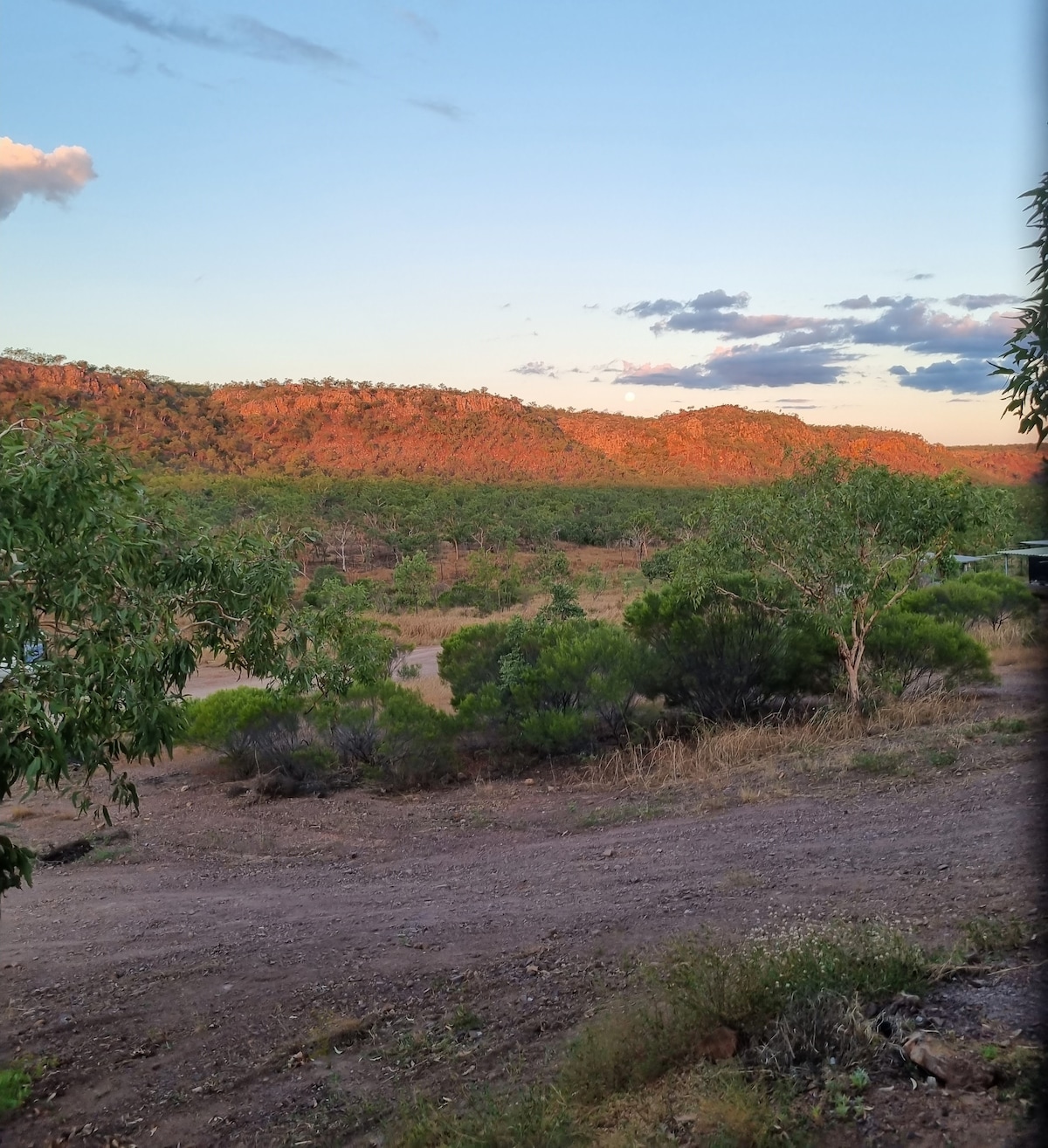 A scenic view features rolling hills bathed in warm sunset light, showcasing a landscape of lush greenery and earthy tones. The foreground includes scattered trees and shrubs that frame the natural beauty of the surrounding area.