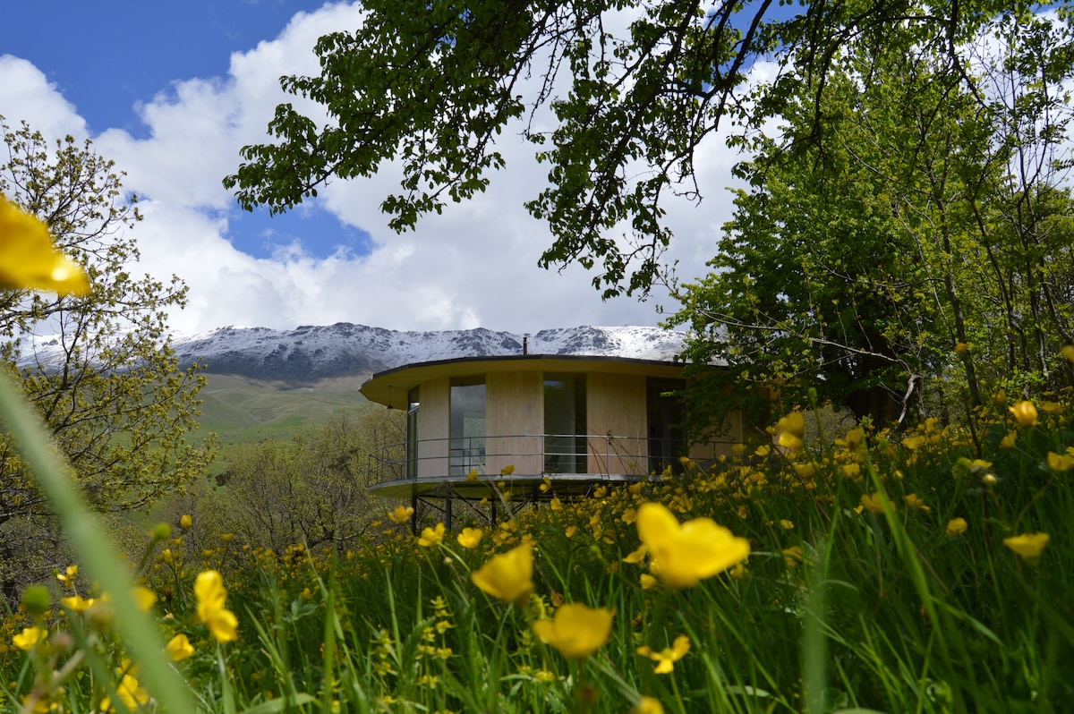A modern guest house is situated amidst lush greenery and vibrant yellow wildflowers, with snow-capped mountains rising majestically in the background. The structure features large windows and a curved balcony, merging harmoniously with the natural surroundings under a partly cloudy sky.