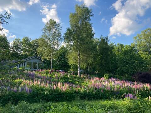 Scenic location in Christinehof Illstorp - Österlen