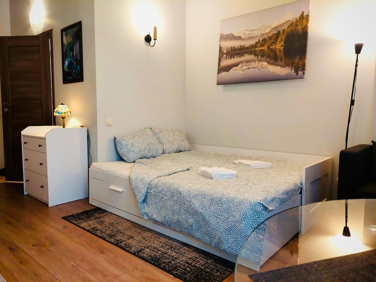 A well-arranged sleeping area features a spacious bed topped with a patterned blanket and crisp linens. Light from a nearby wall sconce and a floor lamp create a soft glow. A piece of wall art depicting a serene landscape is mounted above the bed.