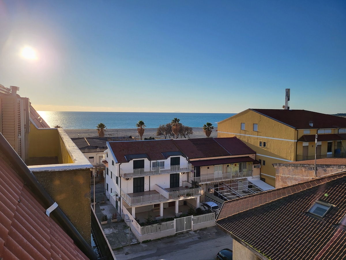 A scenic view captures the sunrise over the ocean, with gentle waves glistening under the sun. Coastal buildings are visible, framed by palm trees, creating a serene seaside atmosphere.