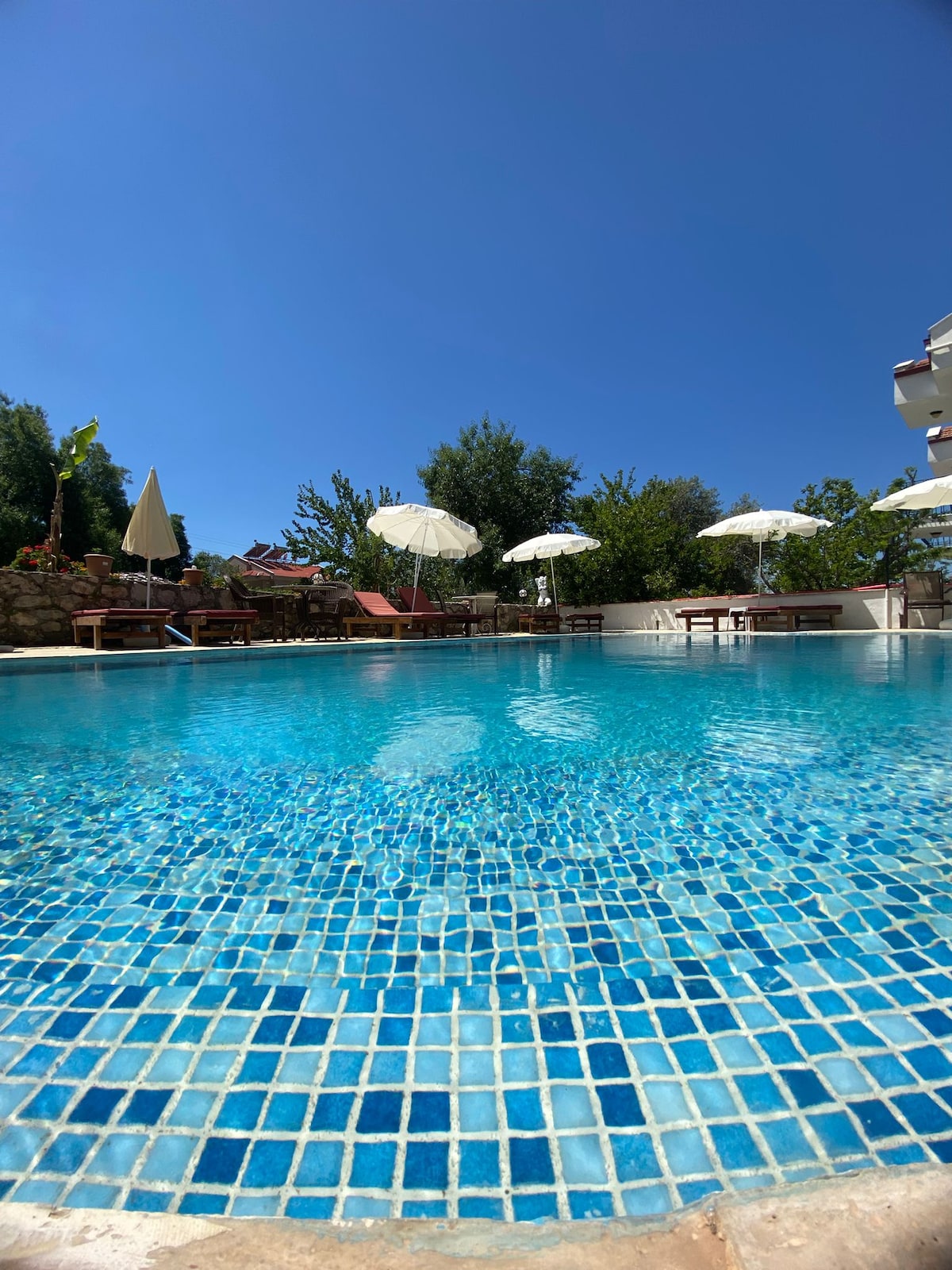 A refreshing pool area is surrounded by lush greenery and white umbrellas. The water reflects a deep blue, with mosaic tiles lining the pool's edge. Relaxing lounge chairs are positioned nearby, inviting guests to unwind under the clear sky.