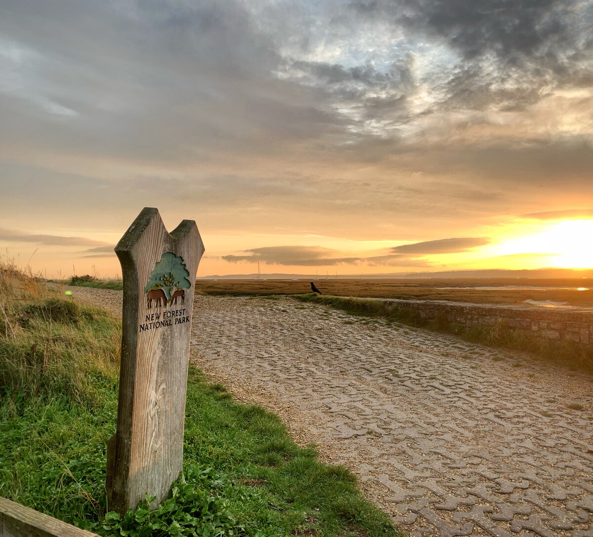 Popular Airbnb listing: Sea Walk Cottage, Milford On Sea in Milford On Sea