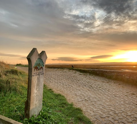 Popular Airbnb listing: Sea Walk Cottage, Milford On Sea in Milford On Sea