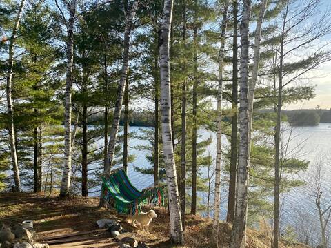 Idlewild at Lynx Lake