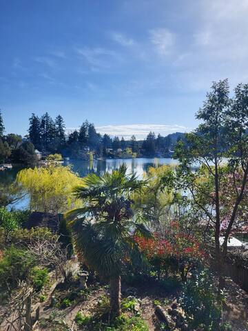 Full sun lake front. Private dock and hot tub gallery image 2