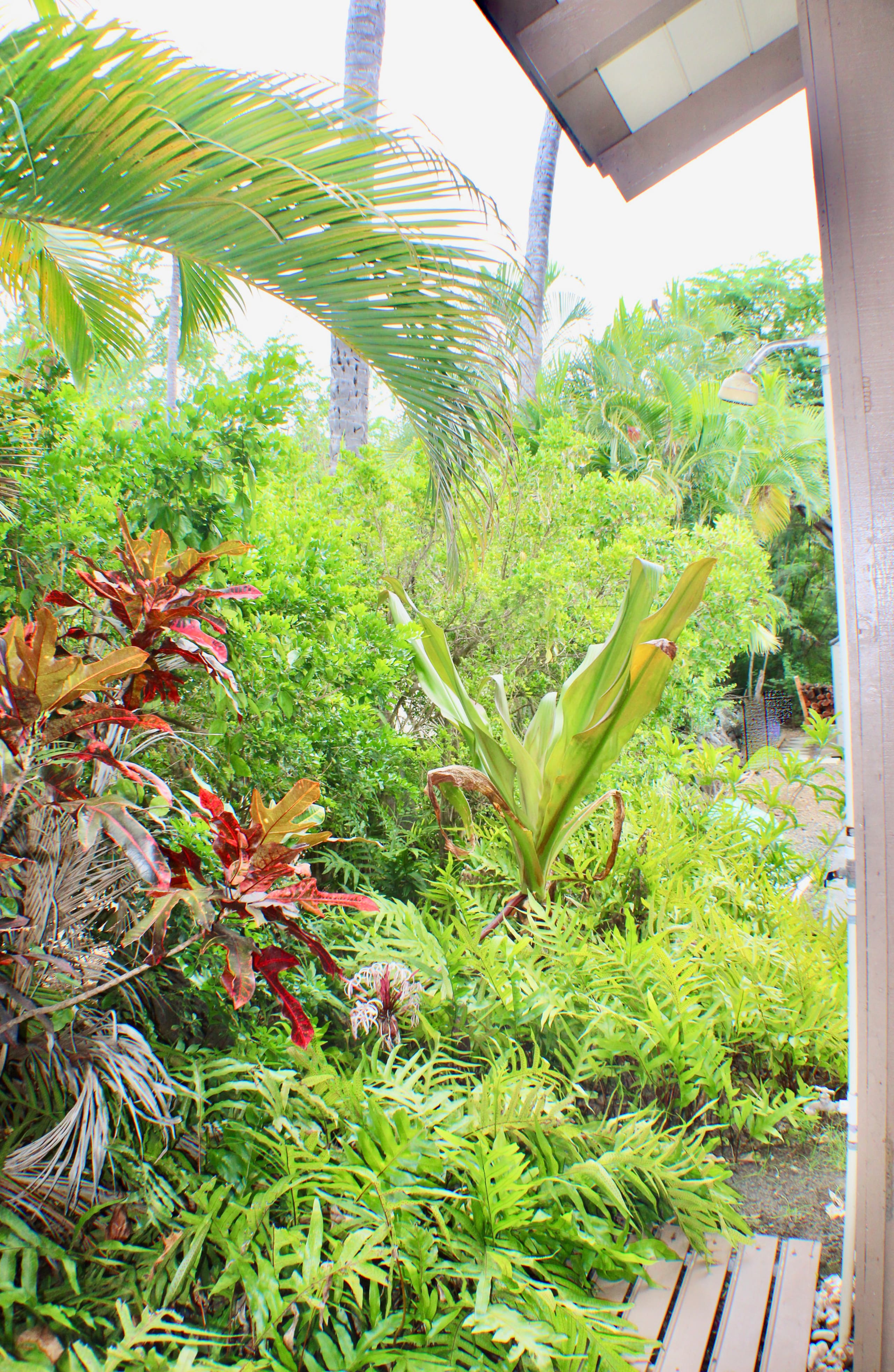 Location! Ocean views king bed walk to magic beach - Image 75
