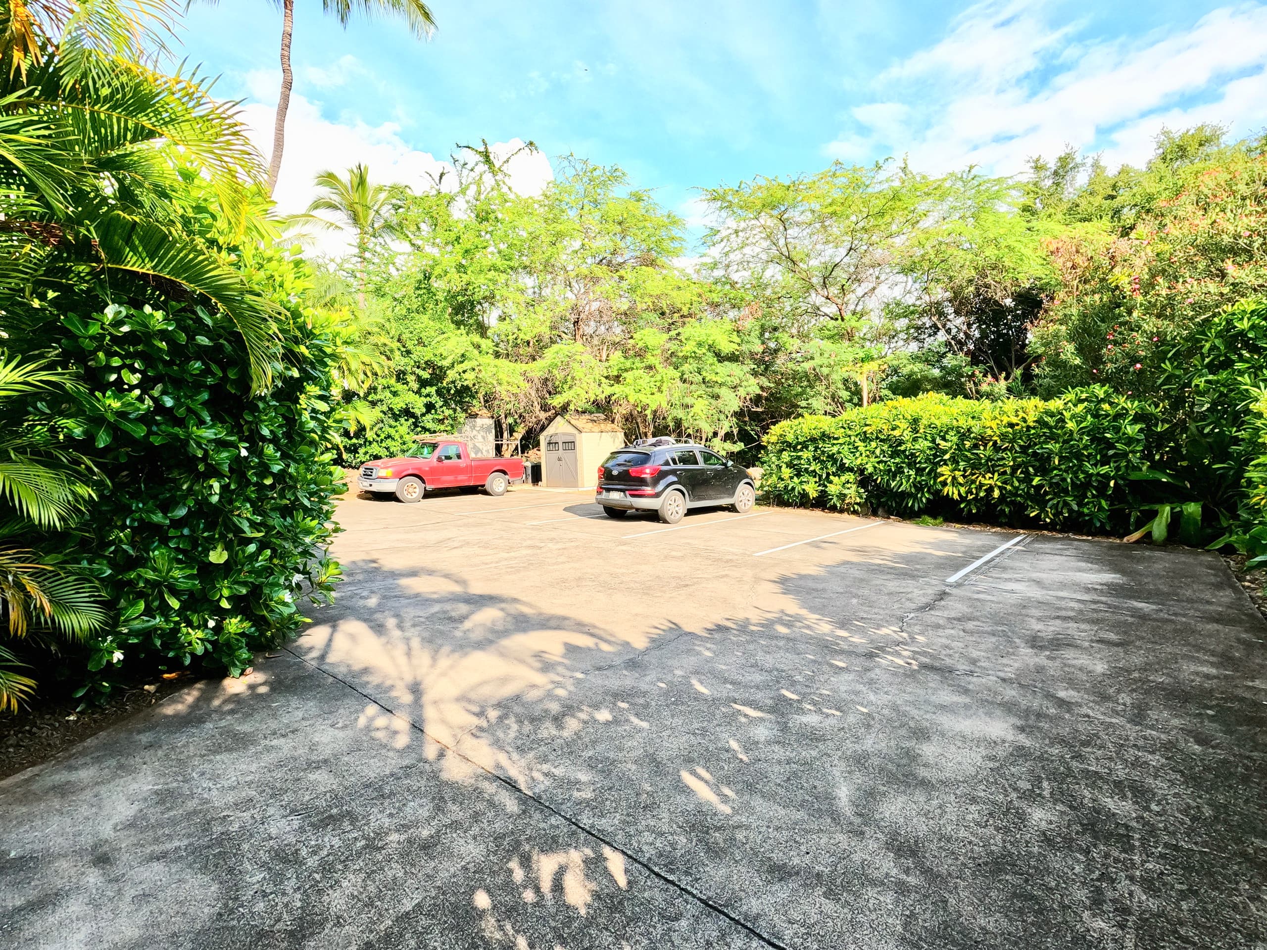 Location! Ocean views king bed walk to magic beach - Image 76