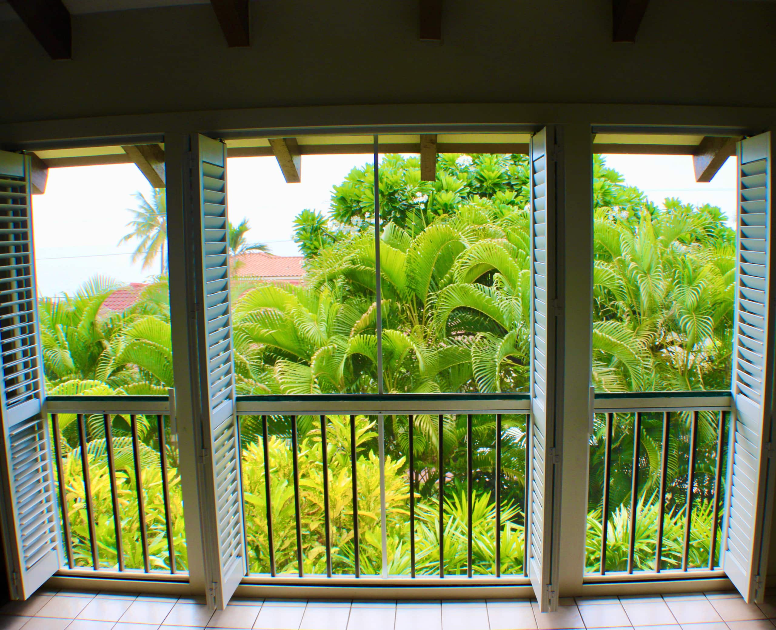 Location! Ocean views king bed walk to magic beach - Image 36