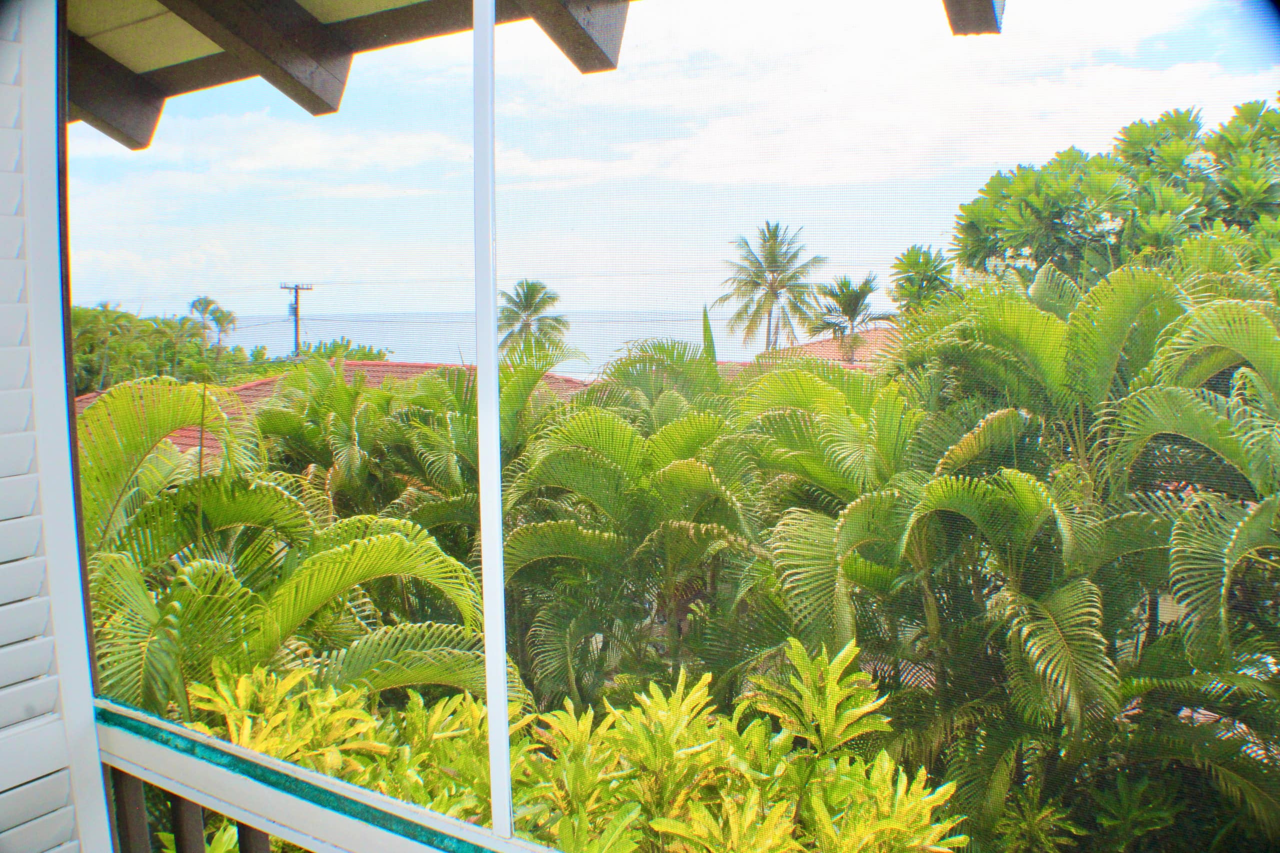 Location! Ocean views king bed walk to magic beach - Image 74