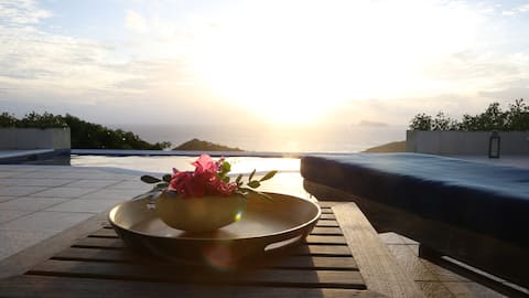 Exclusive Caribbean Villa, 2 BRs, 2-4 guests