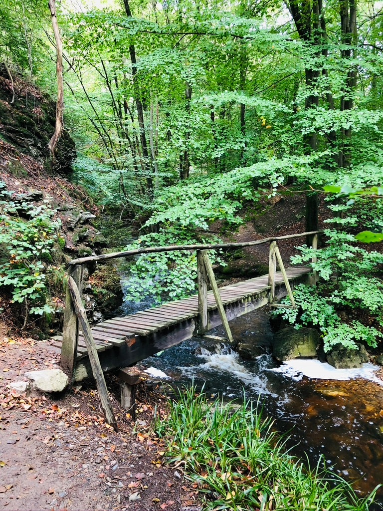 A simple wooden bridge spans a small stream, surrounded by lush green foliage. The scene features a gentle flow of water beneath the bridge and a variety of trees providing a natural canopy, enhancing the serene atmosphere of the wooded area.