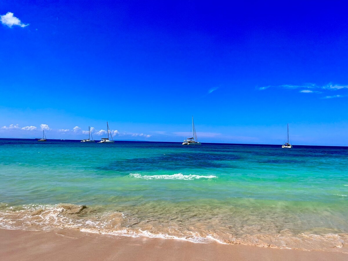 Amazing Beachfront Penthouse In Las Terrenas Apartments for Rent in