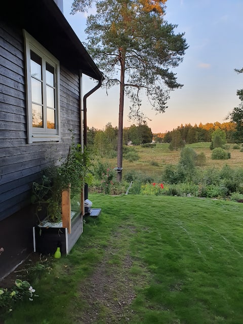 Cabin on a nature plot with lake view