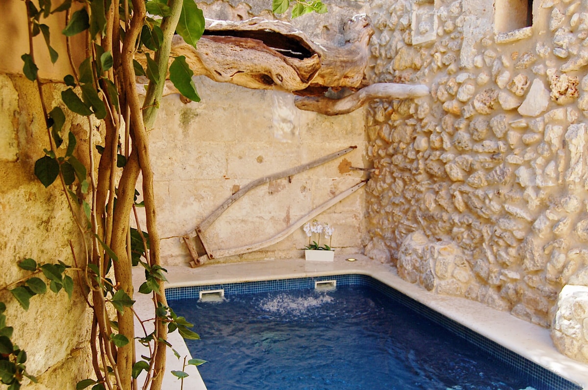 A private pool is framed by rustic stone walls, complemented by natural wood accents. Lush greenery climbs the edges, enhancing the tranquil space. Water gently ripples in the pool, reflecting the surrounding stone, creating a serene retreat.