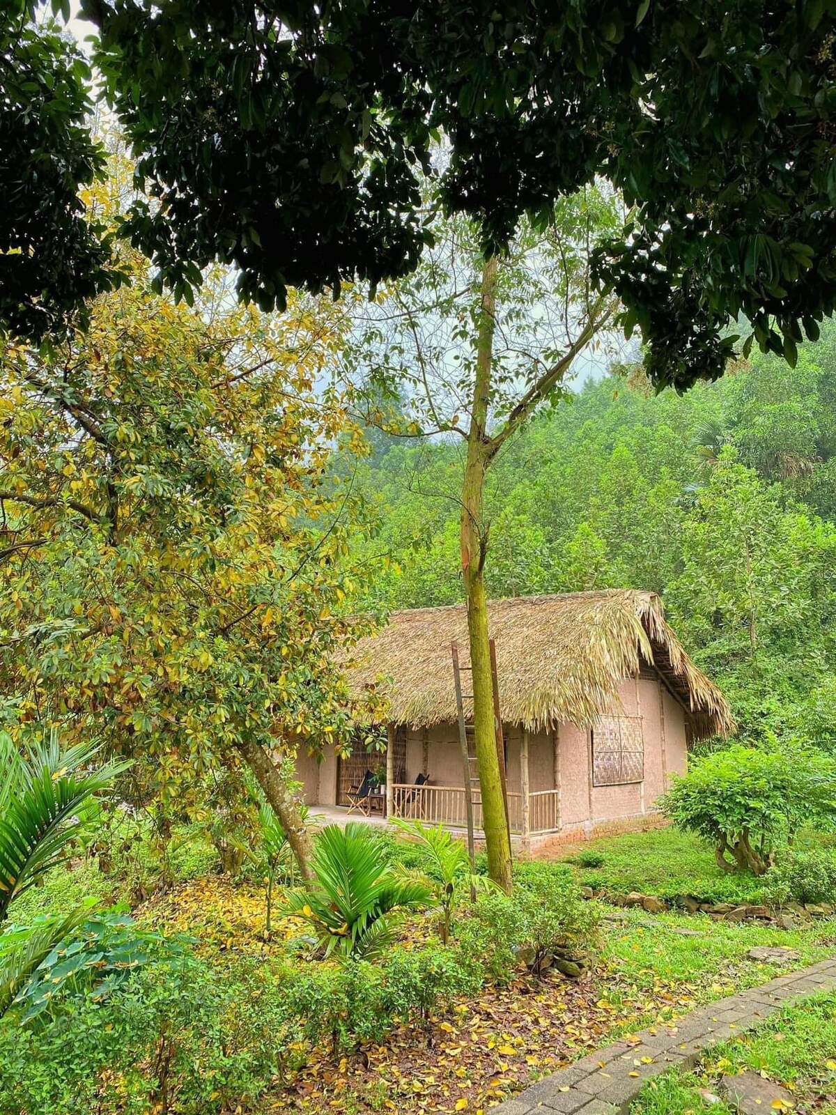 A charming cottage with a thatched roof is nestled among lush greenery. The surrounding area features trees and various plants, blending harmoniously with the natural landscape. A stone pathway leads towards the entrance, inviting guests to explore the tranquil outdoors.