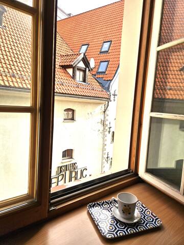 Cosy spacious apartment