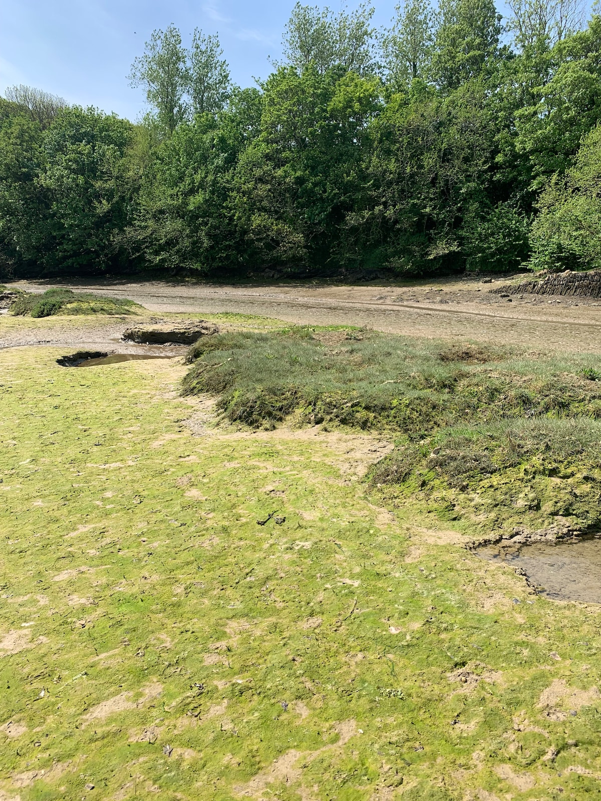 Beautiful nature walk in Newquay.