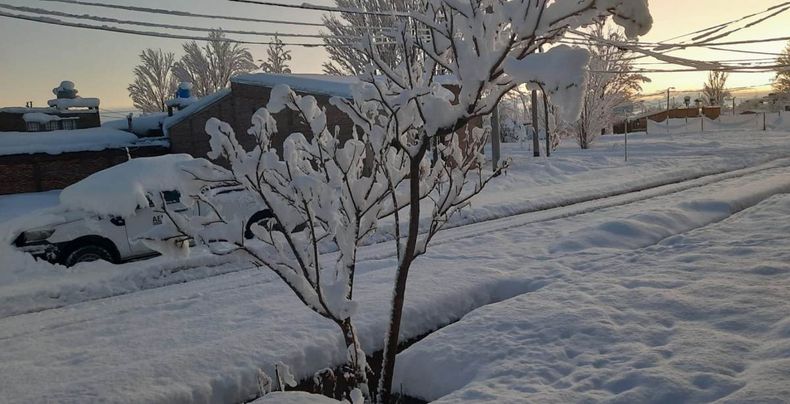 A serene winter scene is depicted, featuring a tree blanketed in fresh snow. The ground is covered in a thick layer of white, with snowy outlines of a parked vehicle and distant structures visible. Soft sunlight casts a gentle glow, enhancing the tranquil atmosphere.