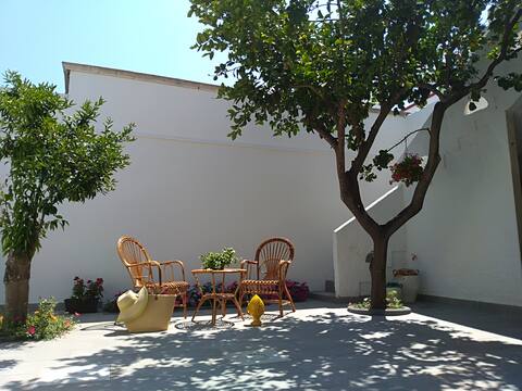 A jewel near the sea