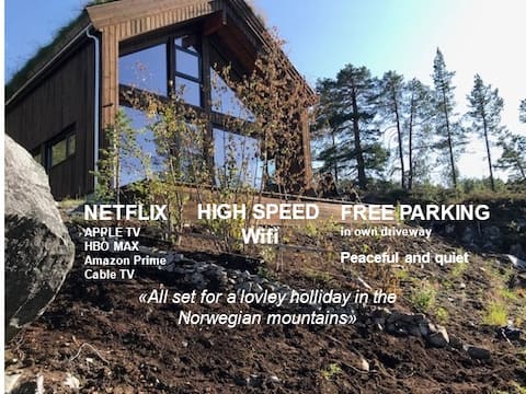 Seljestad large family cabin near Trolltunga, Buer