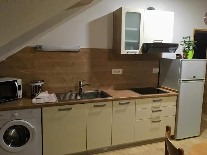 Spacious 4 Bedroom Appt - Boštjanovec Tourist Farm - Slovinsko