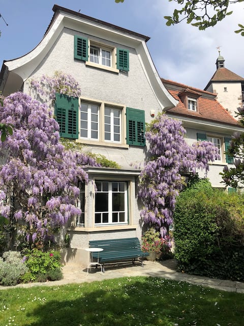 Modern loft apartment in Villa Wencke from 1928