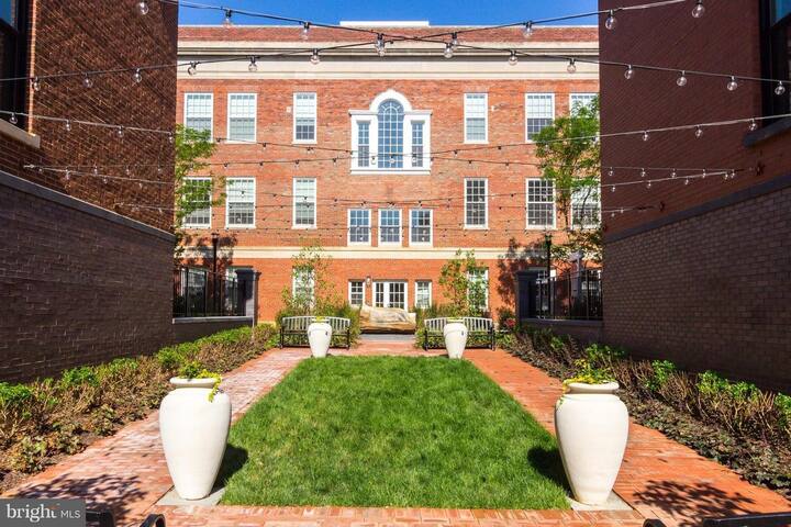 Rooftop beauty in Capitol Hill-private parking gallery image 2