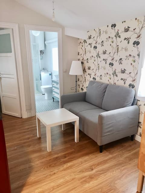 Propiedad de Airbnb exitosa: The botanical attic downtown en Burgos
