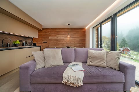 Top performing Airbnb: Cozy chalet Termoska in Liberecký