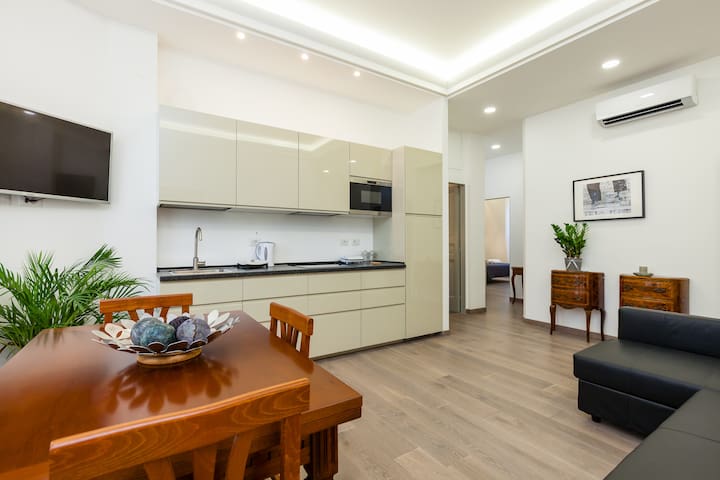 2br 2ba deluxe apt Rome Center
