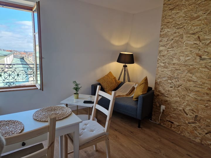 Appartement Cosy Place Stanislas