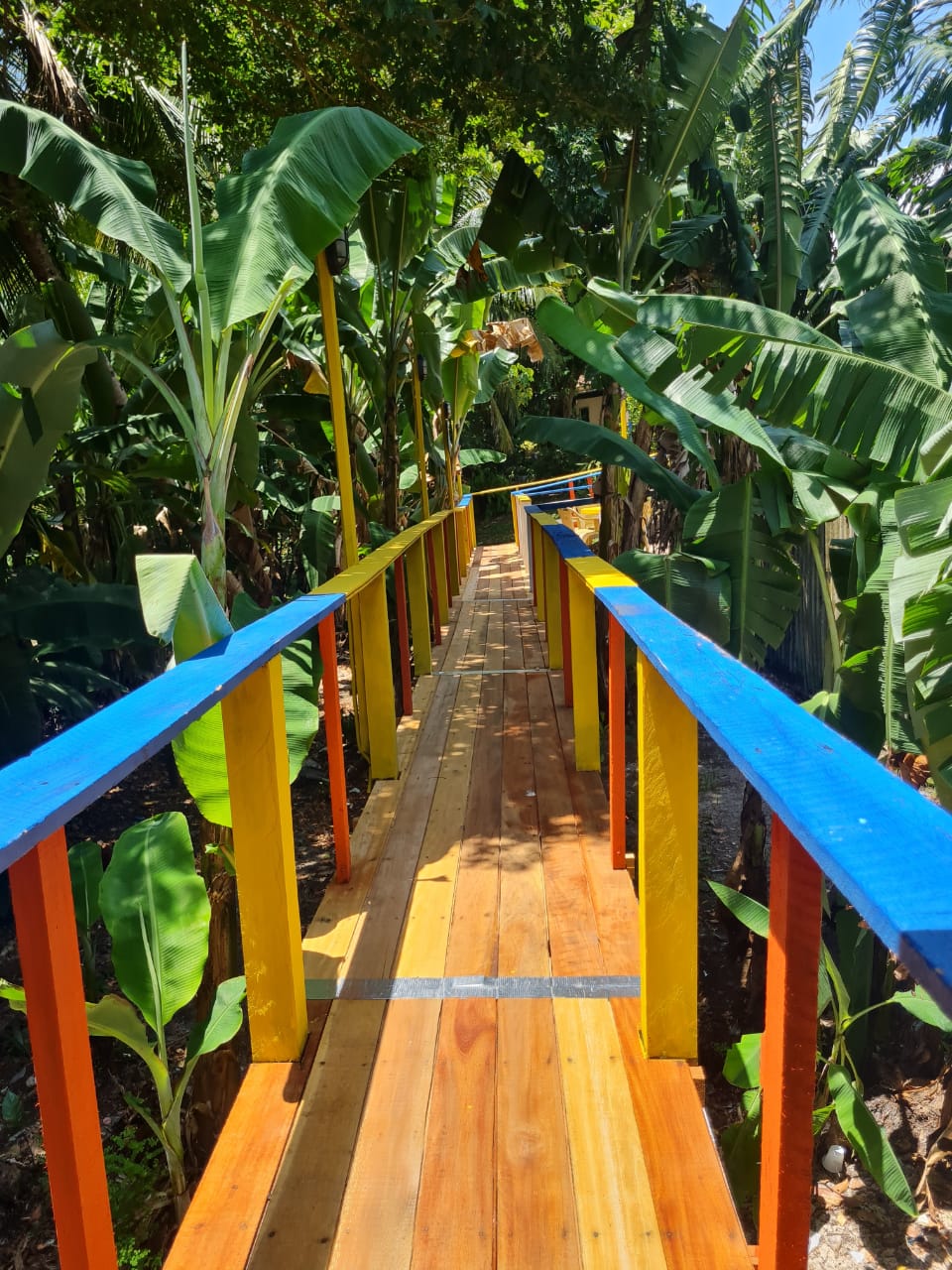A colorful wooden pathway is framed by lush greenery, with vibrant blue and yellow railings. The walkway, made of polished wood, leads through dense tropical plants, creating a serene atmosphere that invites exploration. Sunlight filters through the foliage, casting gentle shadows on the path.