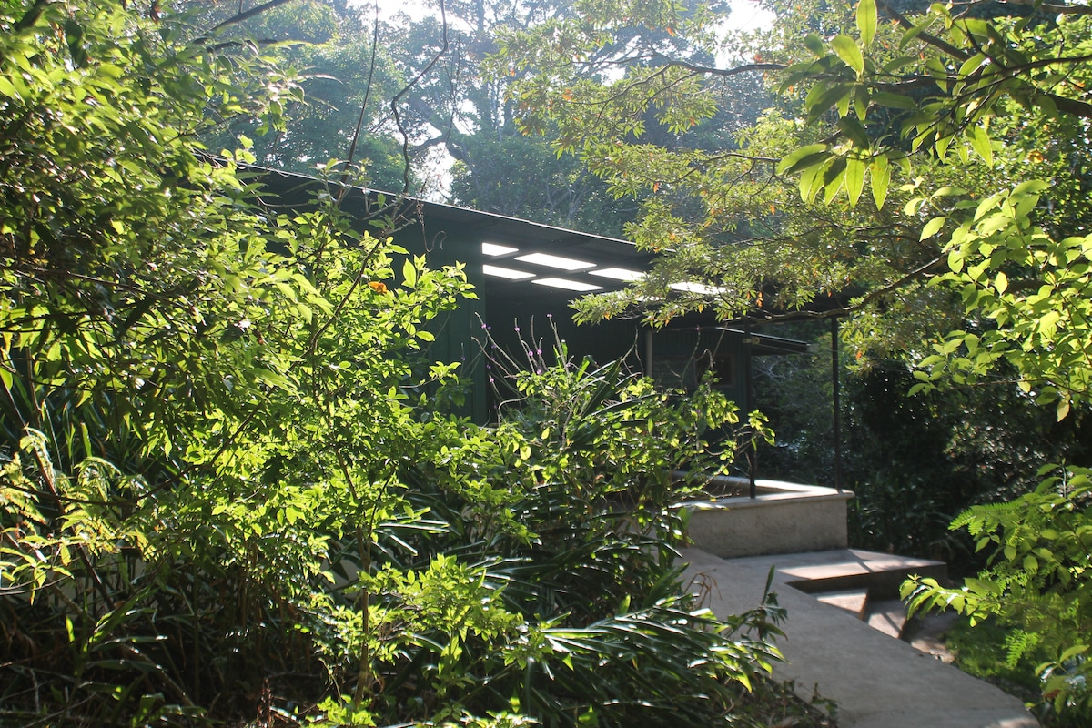 A house sits nestled among lush greenery, framed by dense foliage. The entrance is visible, featuring a covered porch that provides shelter from the elements. Sunlight filters through the surrounding trees, creating a serene and inviting atmosphere.