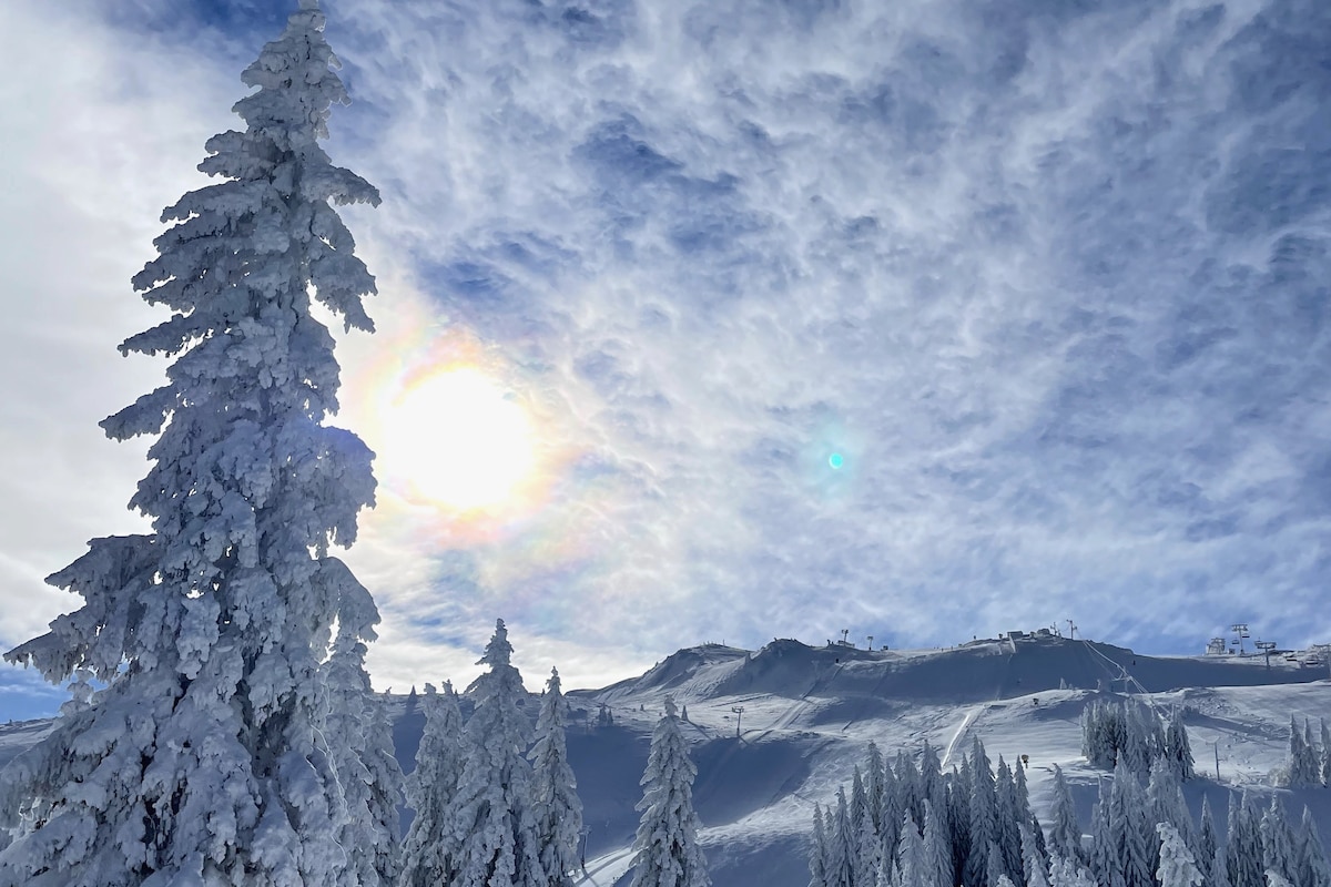 A snow-covered landscape is depicted, featuring towering trees blanketed in fresh snow. The sun shines brightly through wispy clouds, creating a soft glow. In the distance, snow-capped hills and ski lifts are visible against an expansive sky.