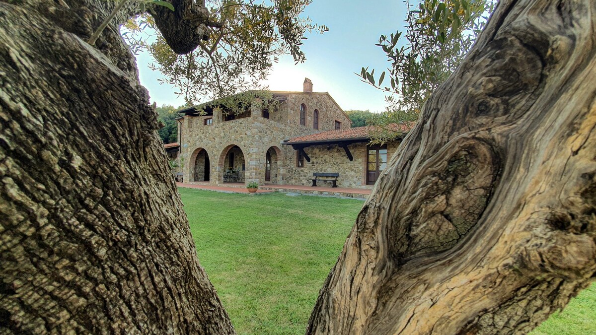 The stone facade of the two-story building is framed by the branches of a large tree, highlighting its rustic charm. Arched doorways and wooden shutters are visible, along with a grassy area in front, suggesting a peaceful setting in the Tuscan countryside.