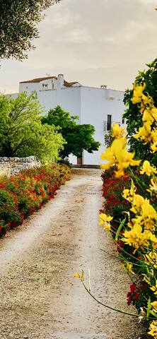 Masseria Scinarello “Torre” gallery image 2