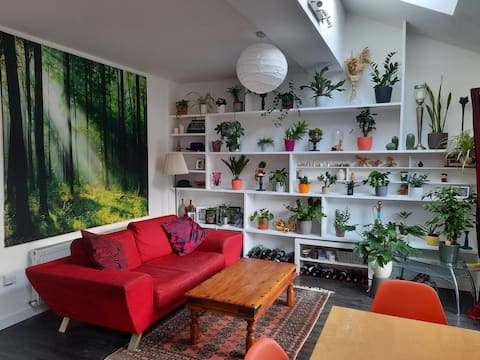 Popular Airbnb listing: Perfect Dublin location; Ranelagh & a city stroll. in Ranelagh