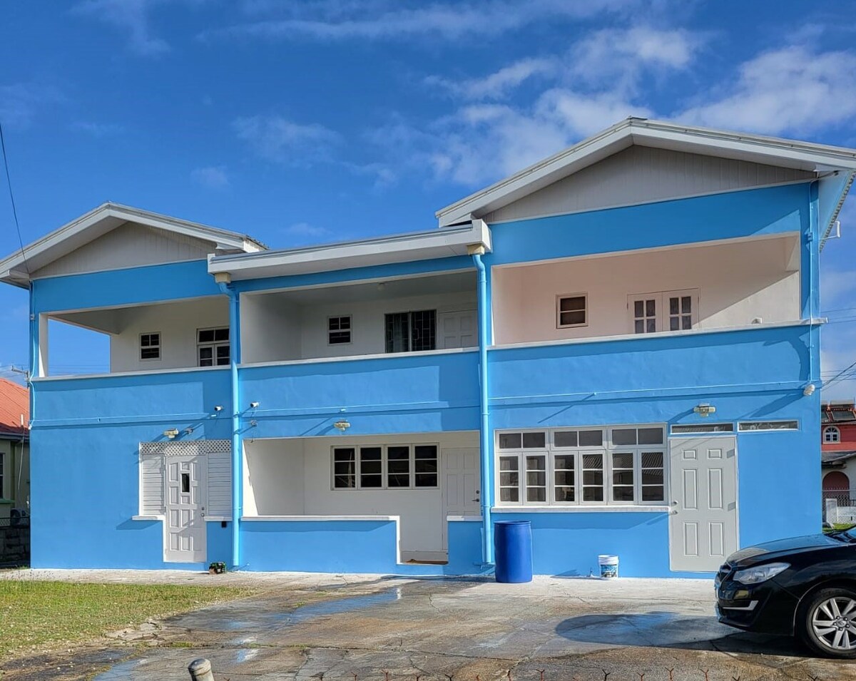 The exterior of the townhouse exhibits a bright blue facade with contrasting white accents. Two levels are visible, framed by a clear sky. Multiple doors and windows enhance the inviting appearance, complemented by a parking area at the front.