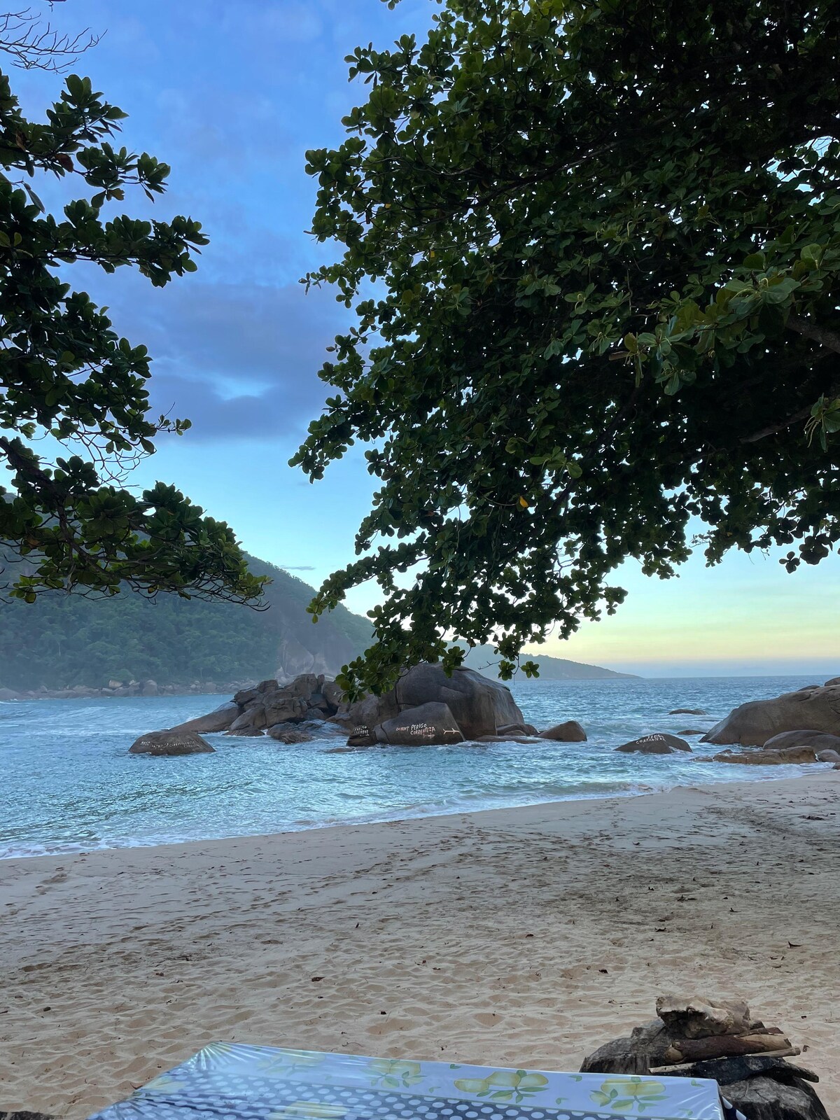 A serene beach scene is captured, showcasing soft sand leading to gentle waves lapping against large rocks. Lush greenery frames the image, adding a natural border to the view of the calm waters and distant hills under a soft morning sky.