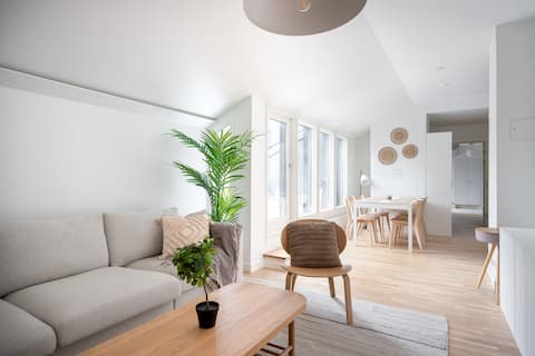 Gorgeous penthouse with sauna and roof terrace