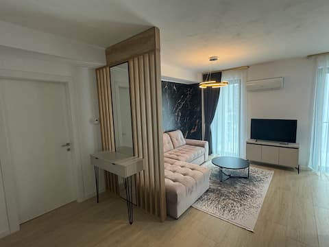 Successful Airbnb property: Ateneo Luxury in Timiș