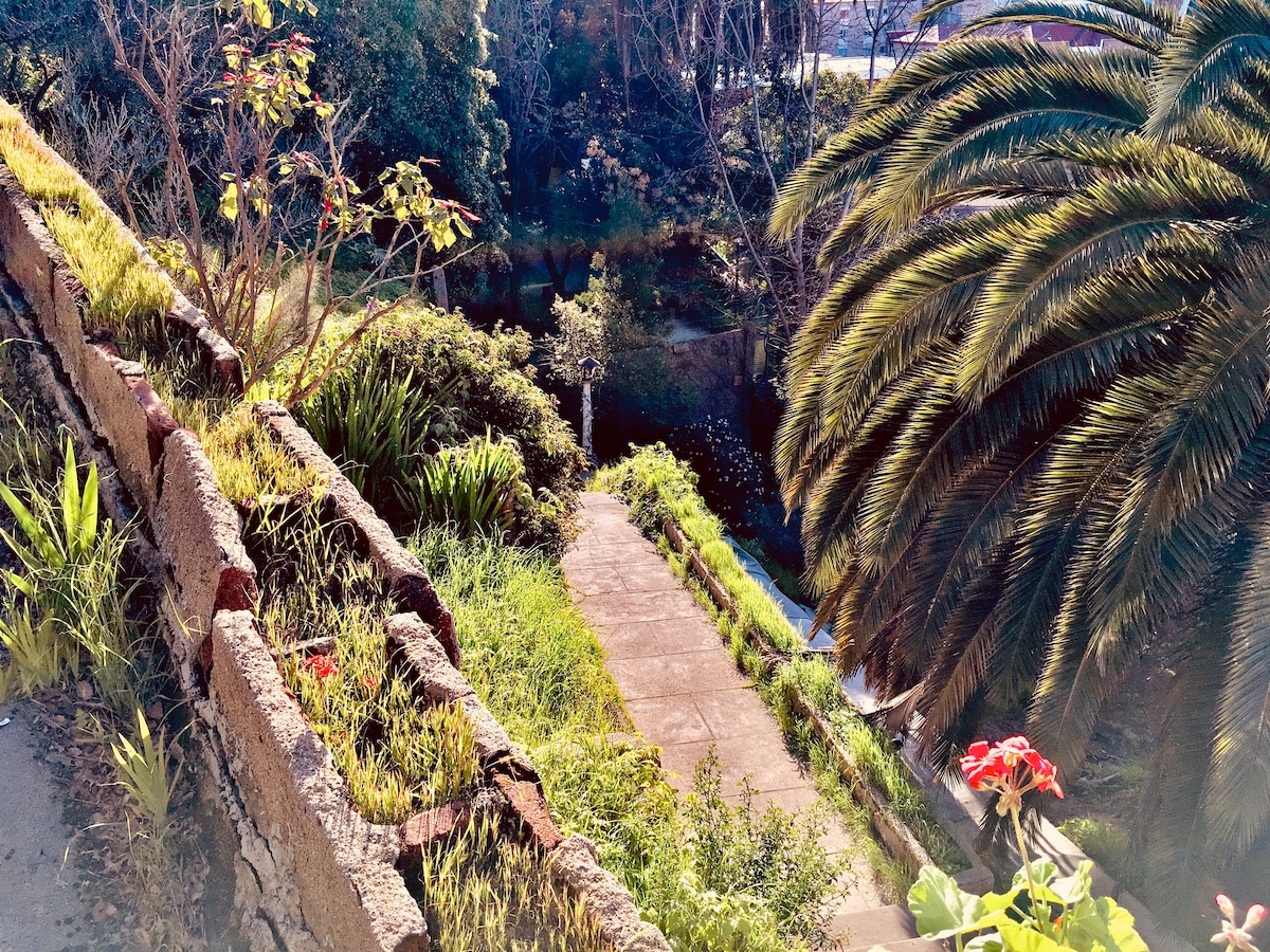 A winding pathway, bordered by lush greenery and flowering plants, leads through a tranquil outdoor space. Tall palm trees provide shade, while sunlight filters through the leaves, creating a serene atmosphere. A glimpse of water can be seen in the background, enhancing the peaceful setting.