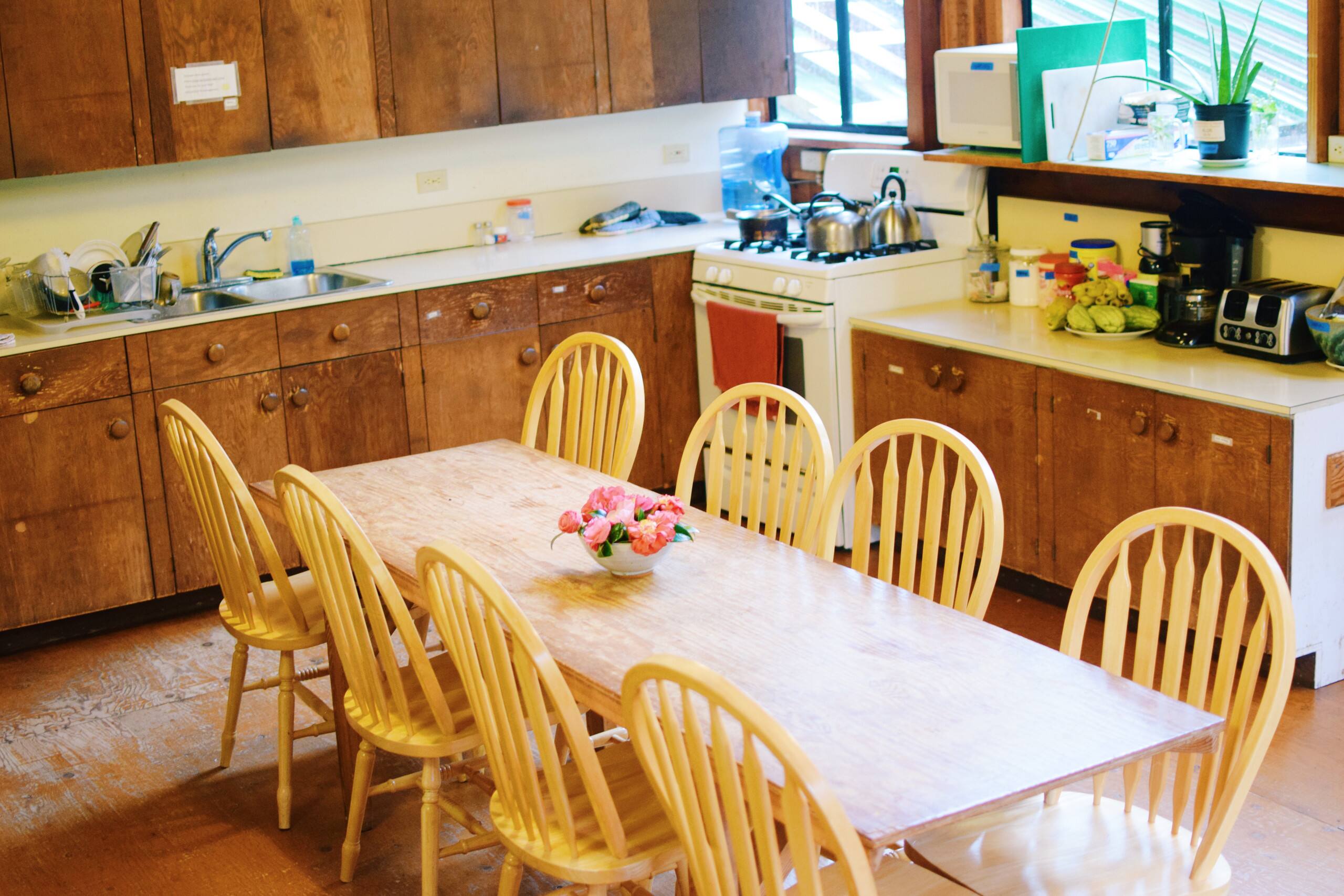 Home in Volcano · ★4.64 · 1 bedroom · 2 beds · 1 shared bath - Image 1