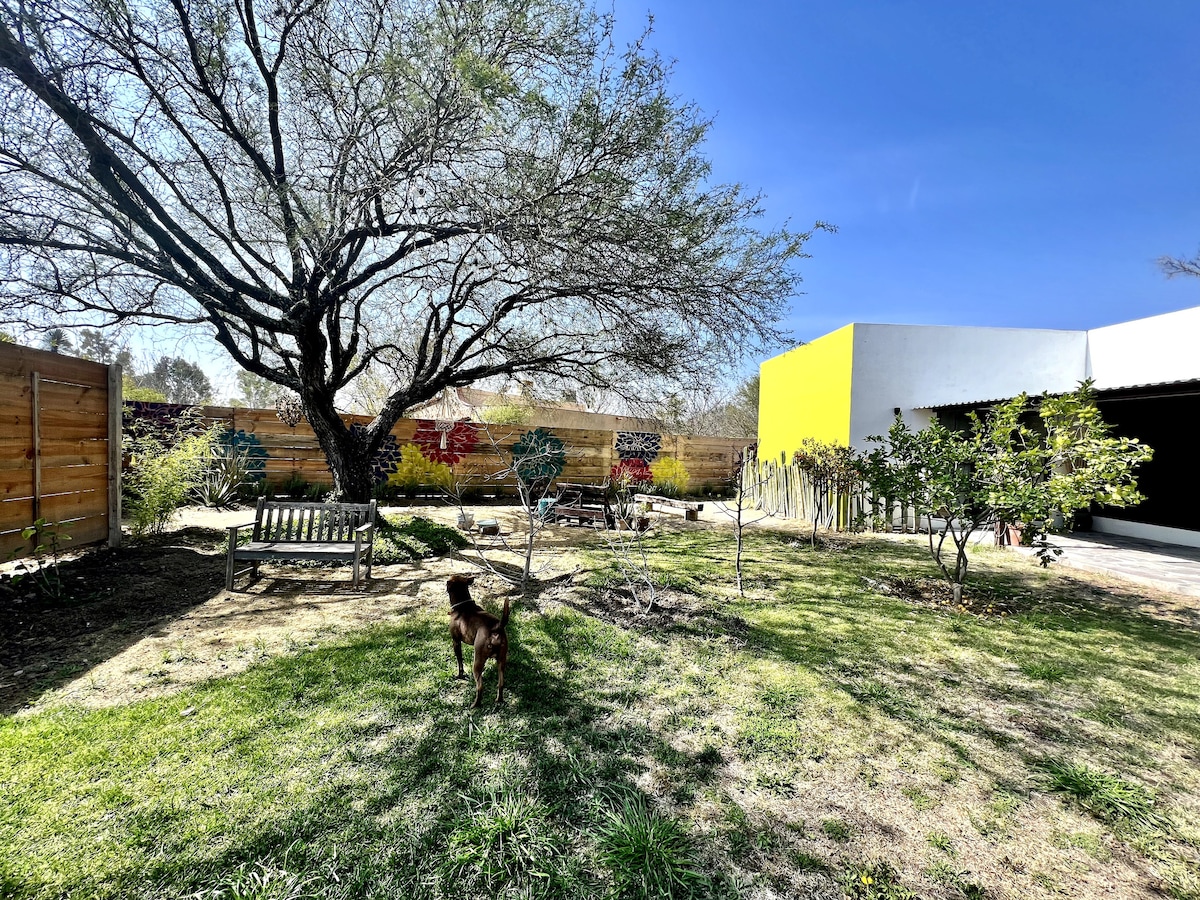 A spacious garden features a large tree providing shade. A pet dog stands on the green grass, surrounded by decorative plants and a wooden bench. Vibrant murals are visible on the fence, with a modern building partially visible in the background.