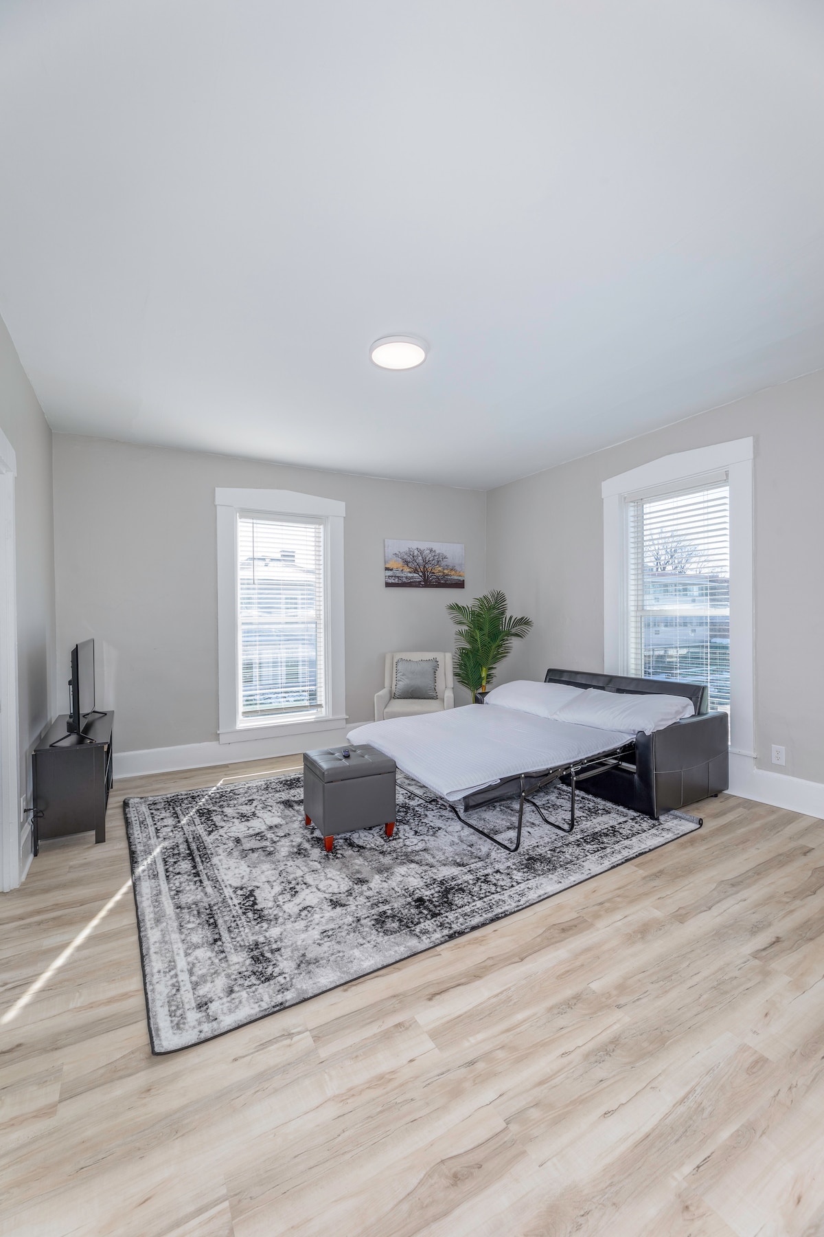 One Bedroom Apt. with King Suite
